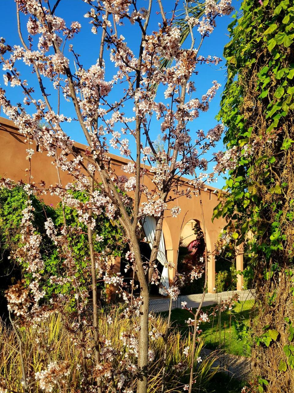 Ksar Salha Hotel Douar Draa Exterior photo