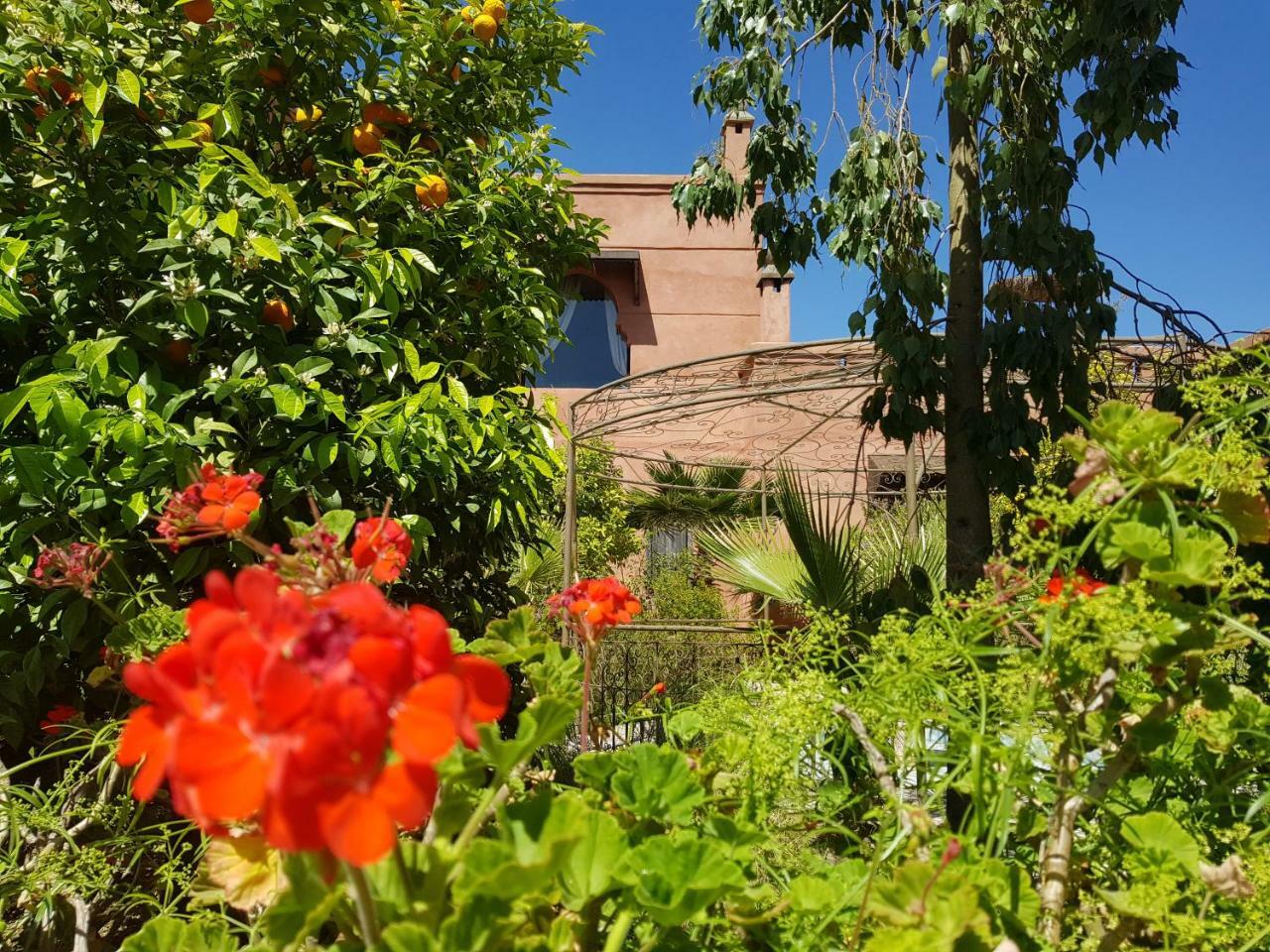 Ksar Salha Hotel Douar Draa Exterior photo